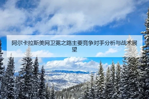 a-er-ka-la-si-mei-wang-wei-mian-zhi-lu-zhu-yao-jing-zheng-dui-shou-fen-xi-yu-zhan-shu-zhan-wang-2-301.jpg